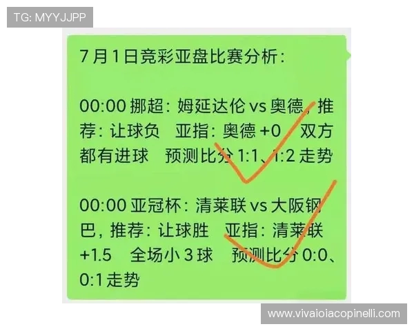 美洲杯最新战况揭晓，各队精彩对决全记录