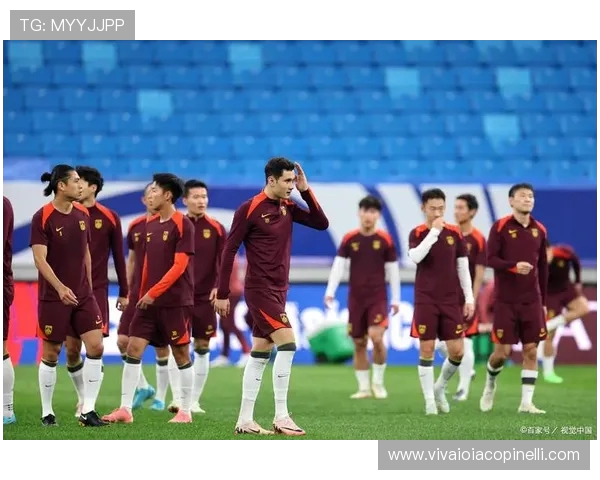 美加墨三国世界杯篮球赛表现分析：从篮板数据看球队竞争力