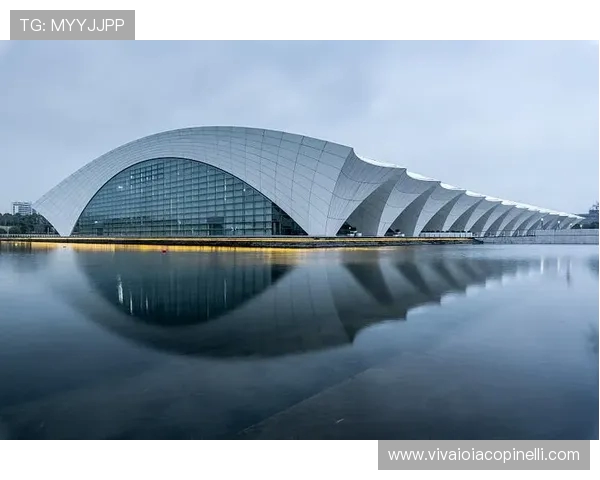 以上海东方体育中心为核心，打造国际化体育文化新地标，推动城市发展新动力